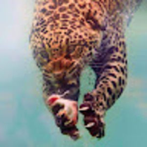 Meet your Posher, Nathan